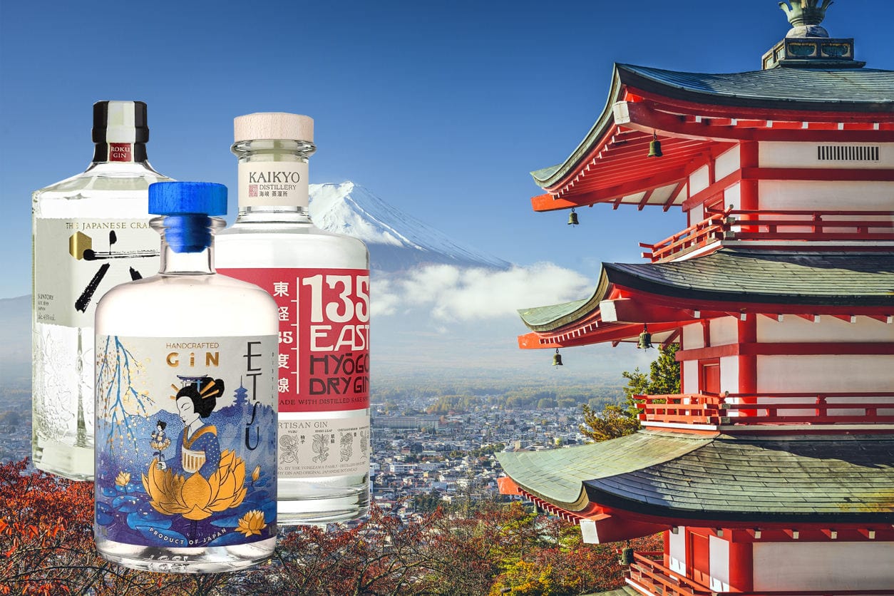 Top 10 Best Japanese Gins Reviewed