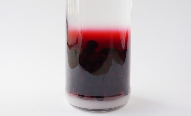 how to make sloe gin