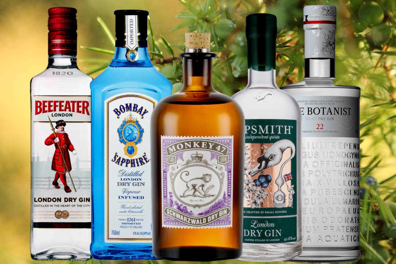 8 Incredible Gins For Complete Beginners Drinks Geek