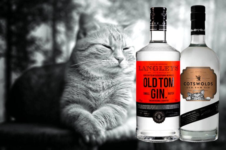 7 Old Tom Gins Sweetened To PURRfection | Drinks Geek