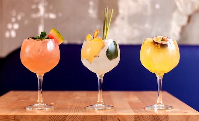 fruity gin and tonics