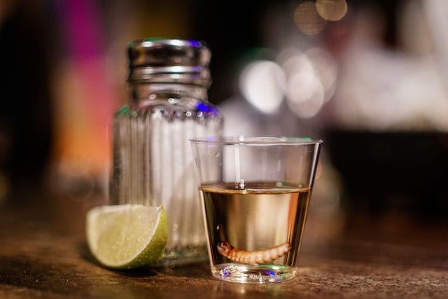 6 Myths Of Tequila And The Worm Answered! | Drinks Geek