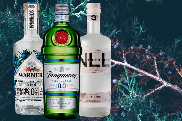 Best Alcohol-Free Gins