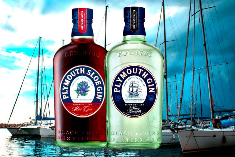 Best Plymouth Gins