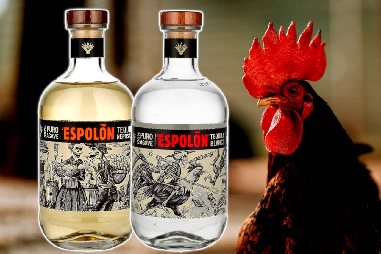 Best Espolon Tequilas