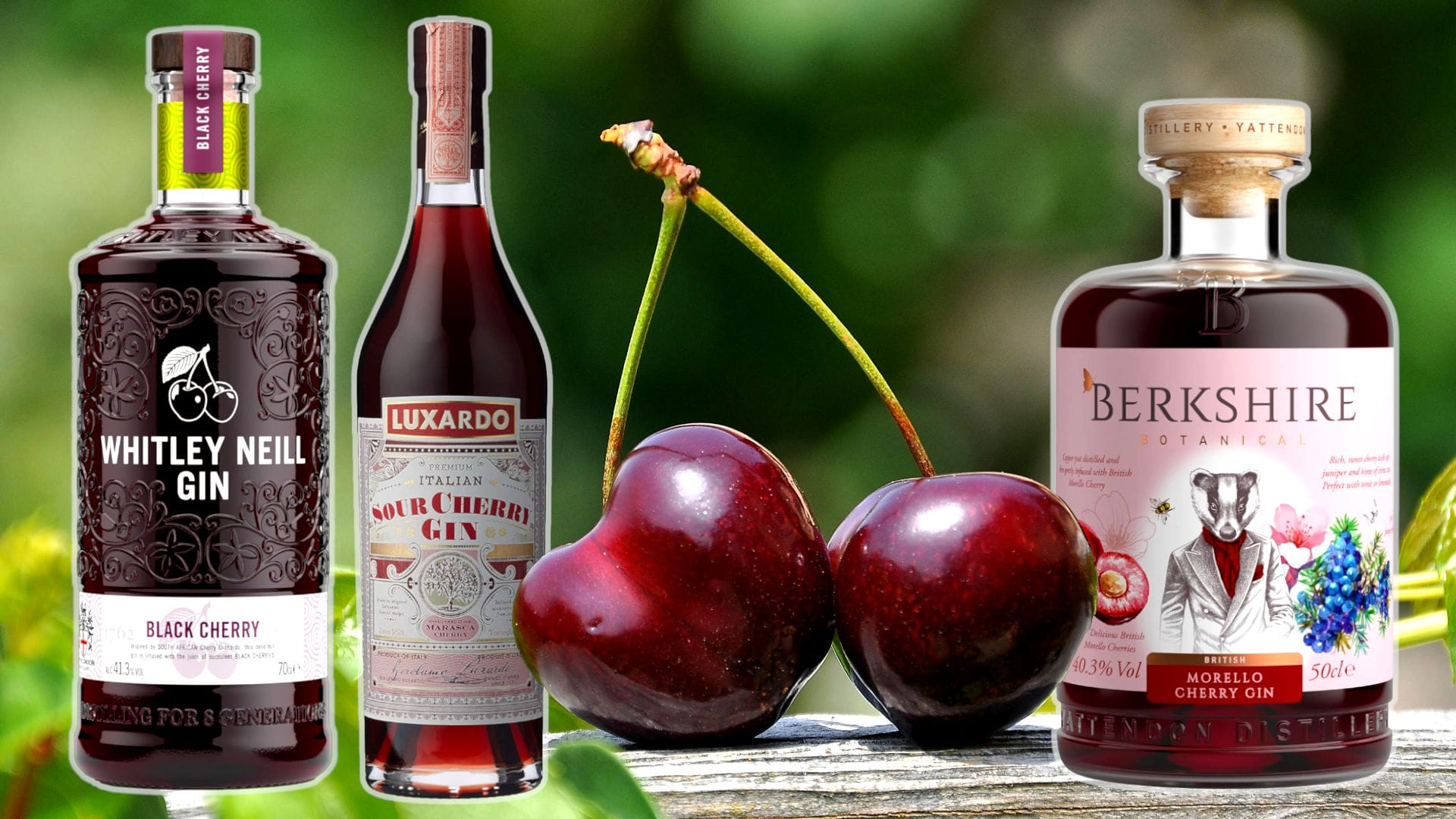 Best Cherry Gins